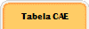 Tabela CAE